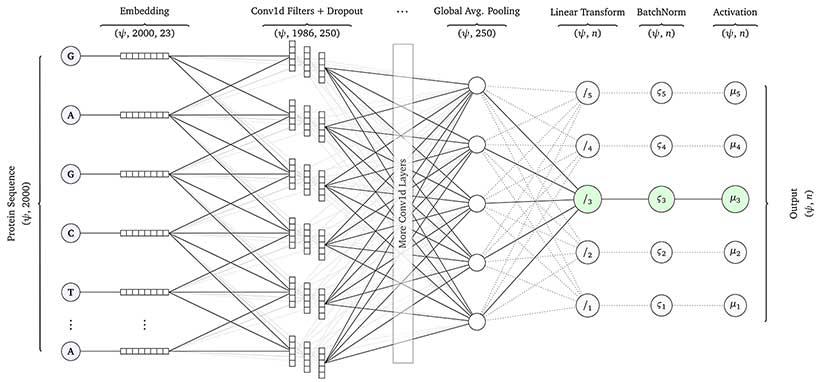 DeepSeq